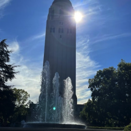 sf1